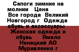 Сапоги зимние на молнии › Цена ­ 5 900 - Все города, Великий Новгород г. Одежда, обувь и аксессуары » Женская одежда и обувь   . Ямало-Ненецкий АО,Муравленко г.